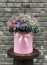 Цветочная композиция из Гипсофила и Розы в шляпной коробке #REPLACE_PRED# Нижнем Тагиле