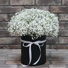 Цветочная композиция из Гипсофила в шляпной коробке в Нижнем Тагиле