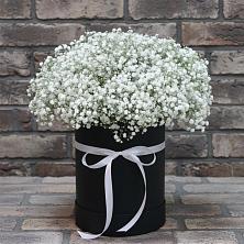 Цветочная композиция из Гипсофила в шляпной коробке в Нижнем Тагиле
