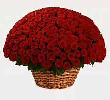 Премиум букет из: Розы в Нижнем Тагиле